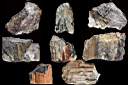 petrified wood0002.jpg